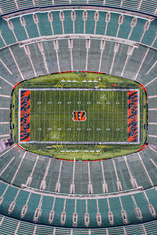 Cincinnati Bengals