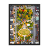 Fall Foliage Above Washington Park Framed