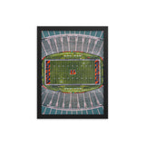 Bengals Field Framed