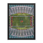 Bengals Field Framed