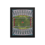 Bengals Field Framed