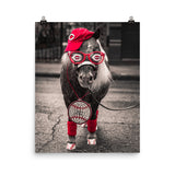 Reds Mini Horse Poster