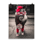 Reds Mini Horse Poster